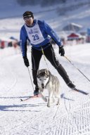 Lenk 2013
